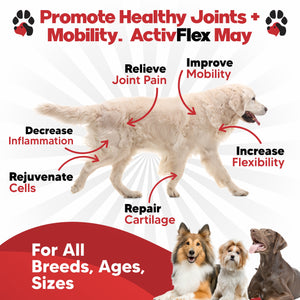ActivTreats: Hip & Joint Support for Dogs