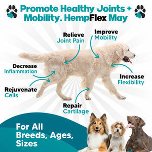 HempFlex: Advanced Joint Support for Dogs