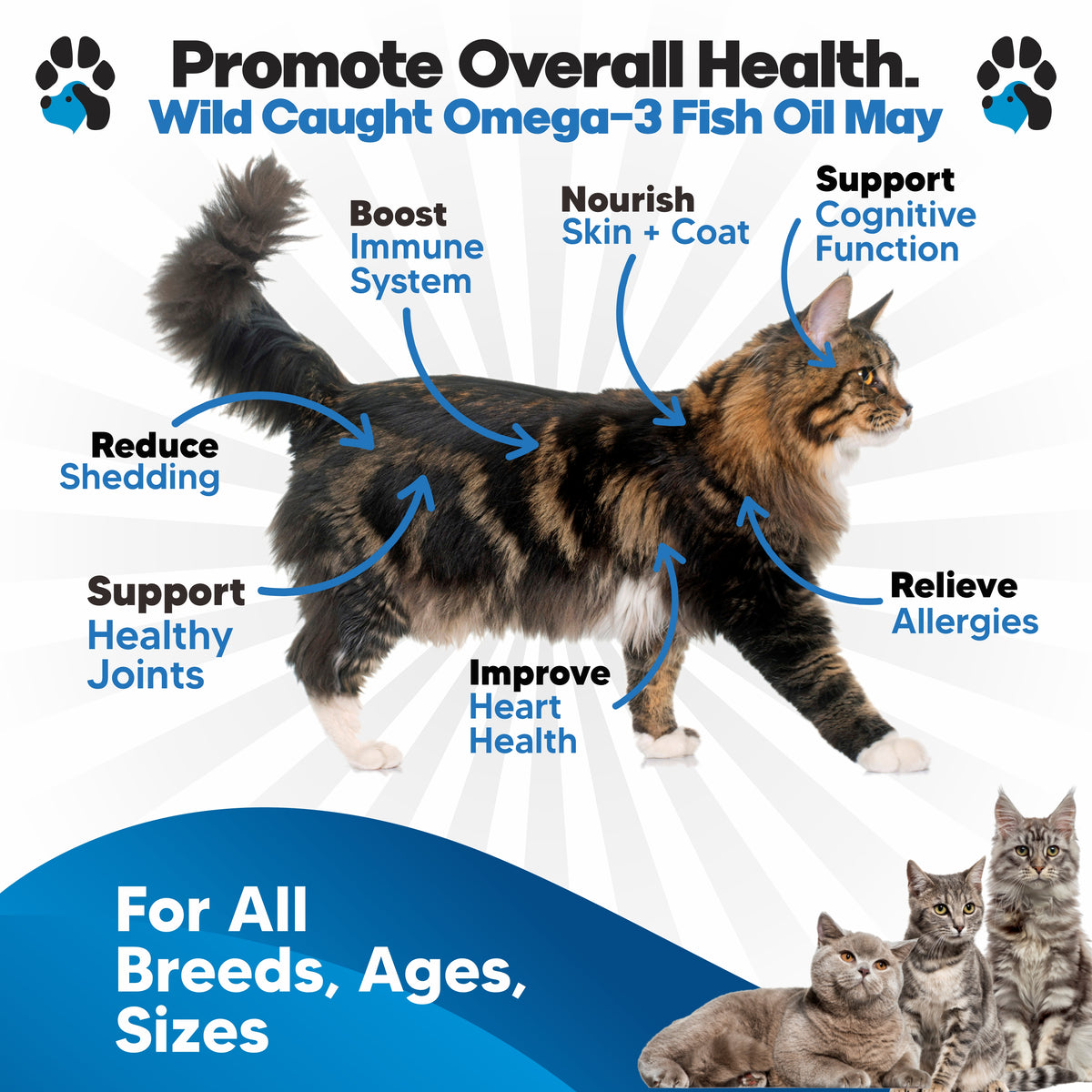 PlanoPawsOmega-3FishOilCats5_1200x1200.jpg?v=1640466924