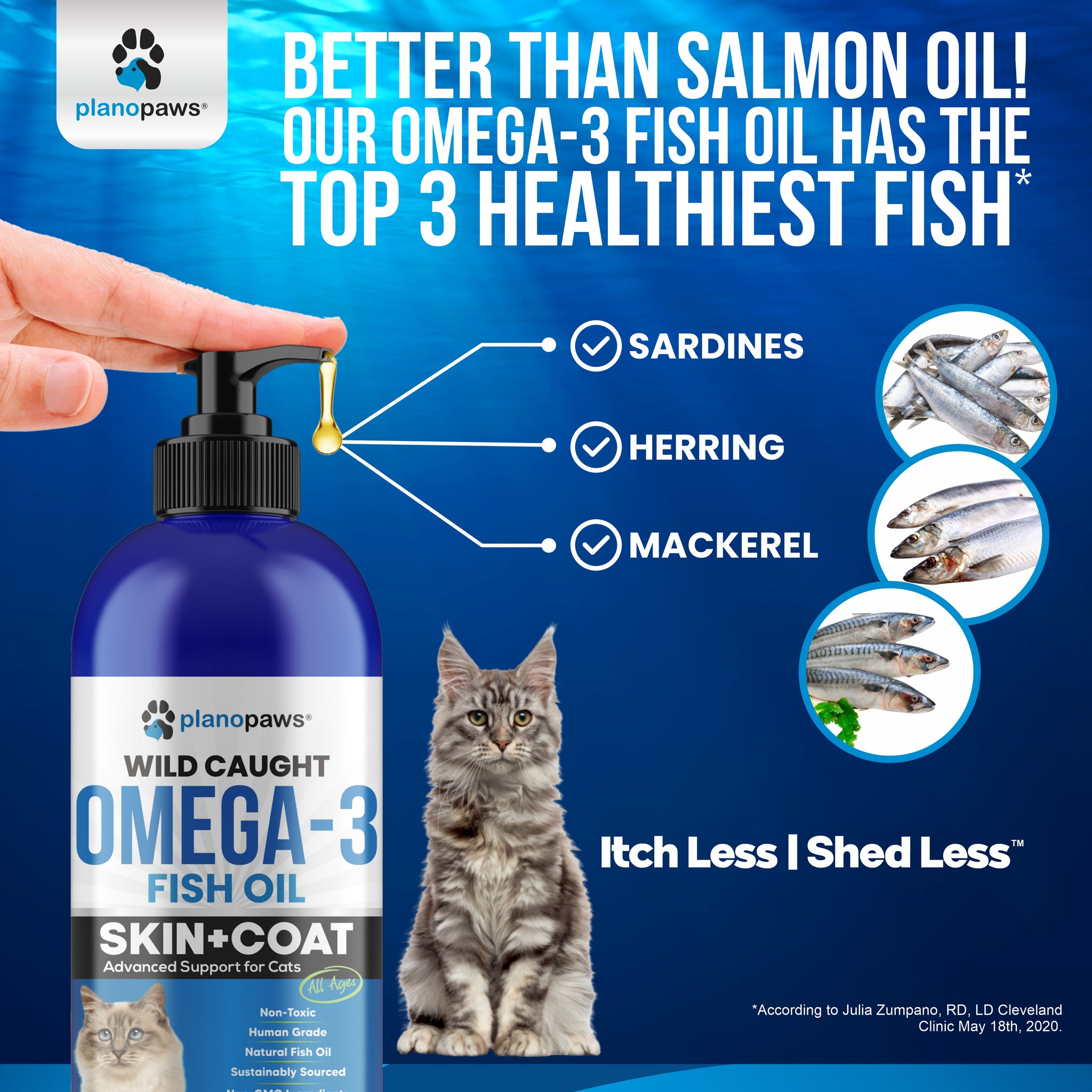 l carnitine and omega 3 for cats Nordic Naturals Omega-3 Cat the Nutramax Welactin Feline Omega 3 Health Supplement for Cats offers your cat a rich source of Omega Omega 3 Fish Oil for