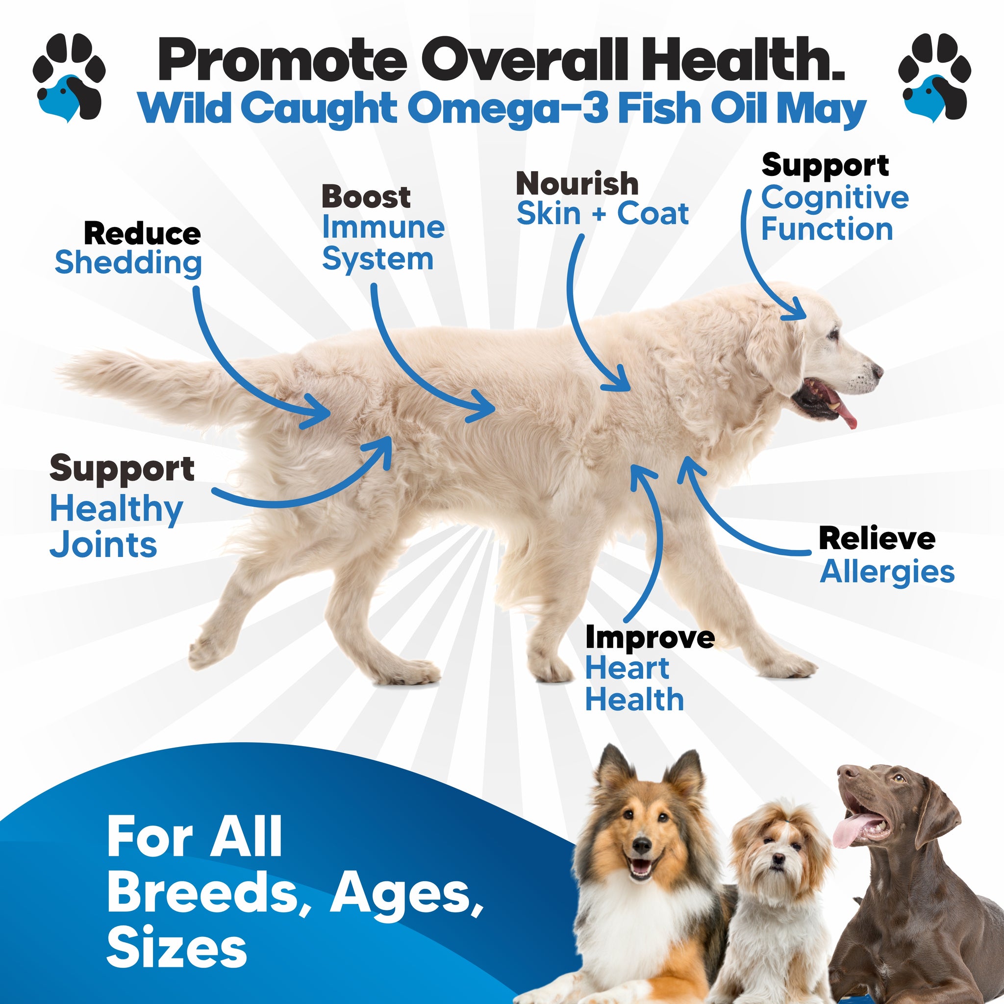 Benefits of Omega-3 for Dogs: Essential for Health and Happiness